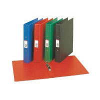 Esselte Plastic Ring Binders (50010)